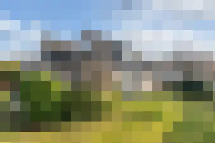 Beugel 27 Drachten thumbnail 39