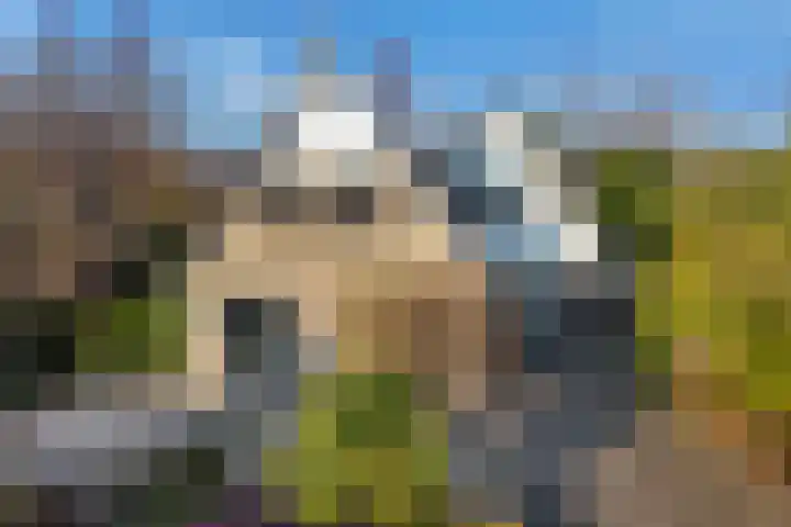 Beugel 27 Drachten thumbnail 42
