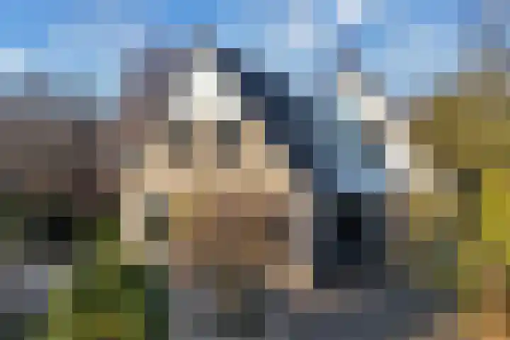 Beugel 27 Drachten thumbnail 44