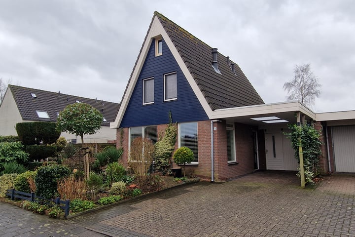 Beuk 4 in Mierlo foto