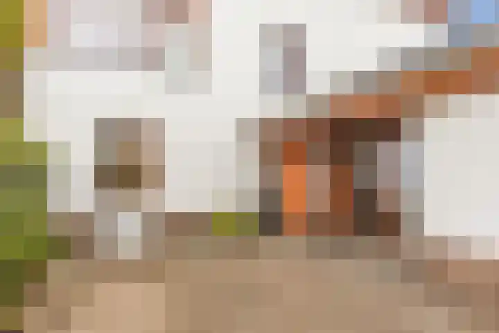 Beukeboomweg 30 Sittard thumbnail 10
