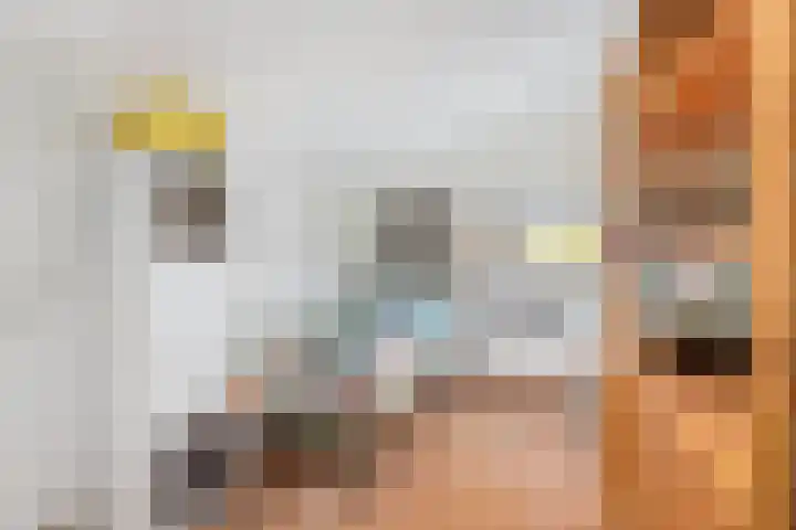 Beukeboomweg 30 Sittard thumbnail 31