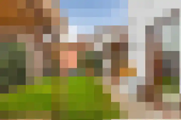 Beukeboomweg 30 Sittard thumbnail 38