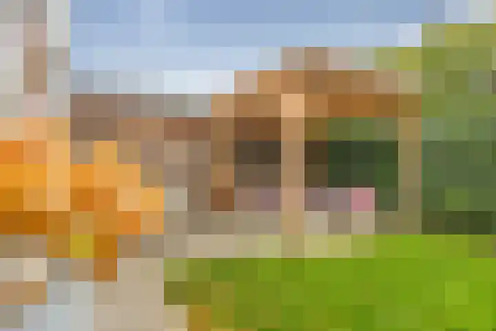 Beukeboomweg 30 Sittard thumbnail 39