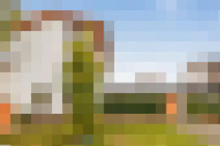 Beukeboomweg 30 Sittard thumbnail 8