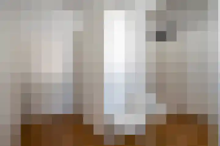 Beukeboomweg 32 Sittard thumbnail 39
