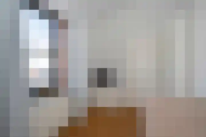 Beukeboomweg 32 Sittard thumbnail 44