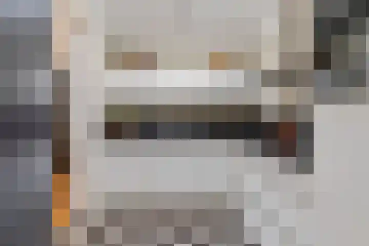 Beukelaar 10 Veghel thumbnail 12