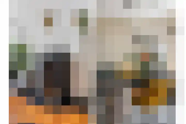 Beukelaar 10 Veghel thumbnail 13