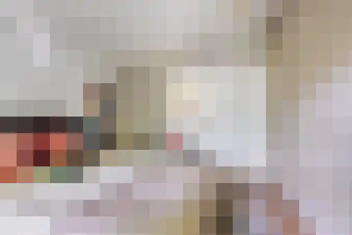 Beukelaar 10 Veghel thumbnail 27