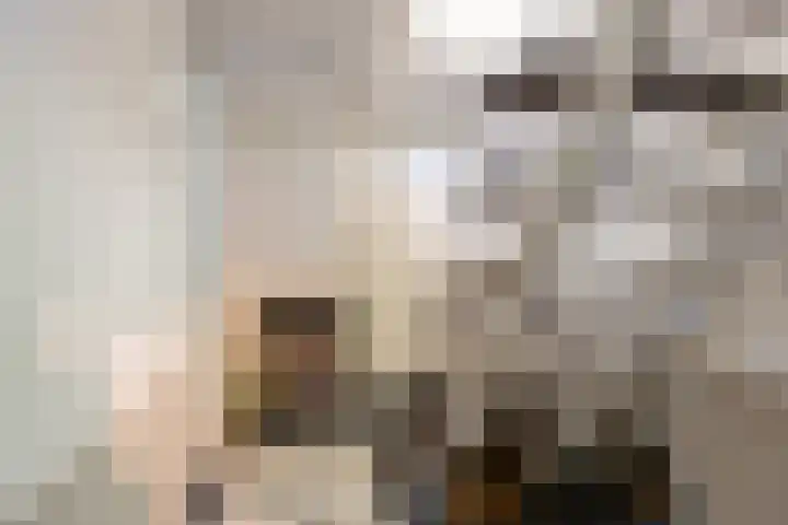 Beukelaar 10 Veghel thumbnail 29