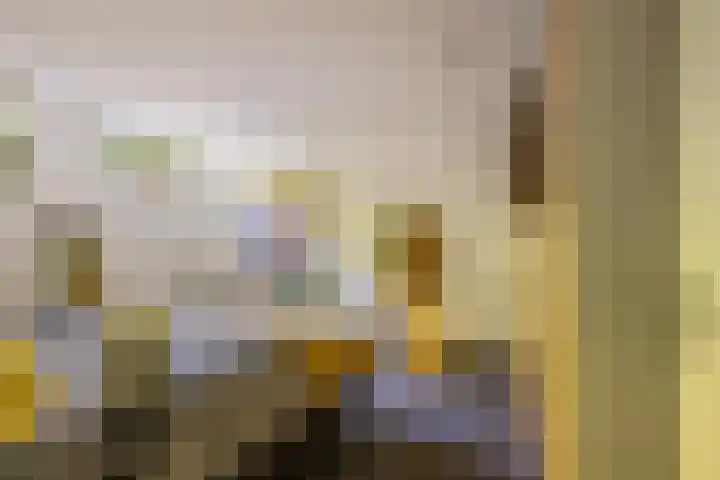Beukelaar 10 Veghel thumbnail 33