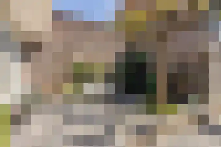 Beukelaar 10 Veghel thumbnail 35