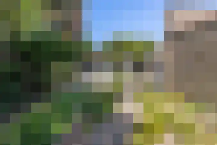 Beukelaar 10 Veghel thumbnail 36