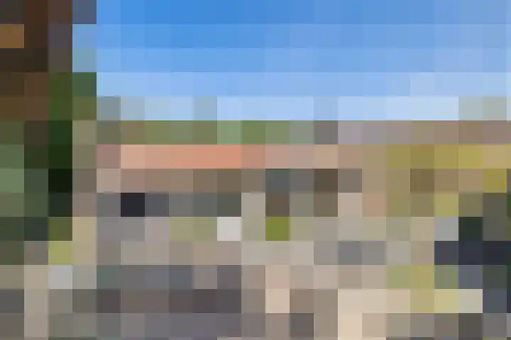 Beukelaar 10 Veghel thumbnail 41