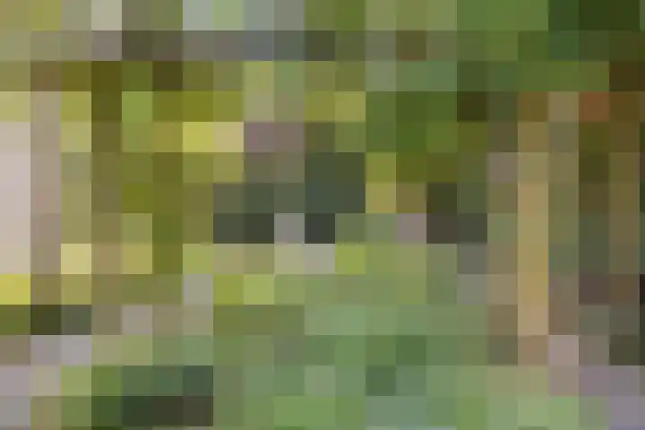 Beukelaar 10 Veghel thumbnail 42
