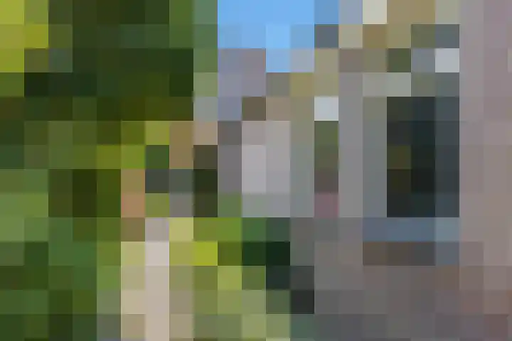 Beukelaar 10 Veghel thumbnail 46