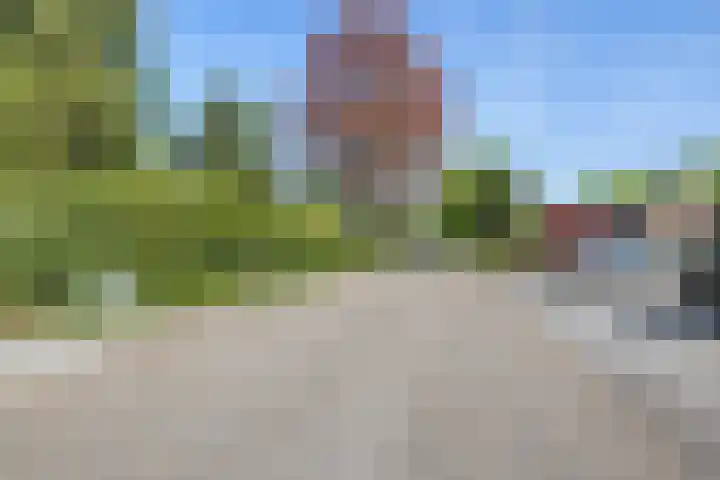 Beukelaar 10 Veghel thumbnail 48