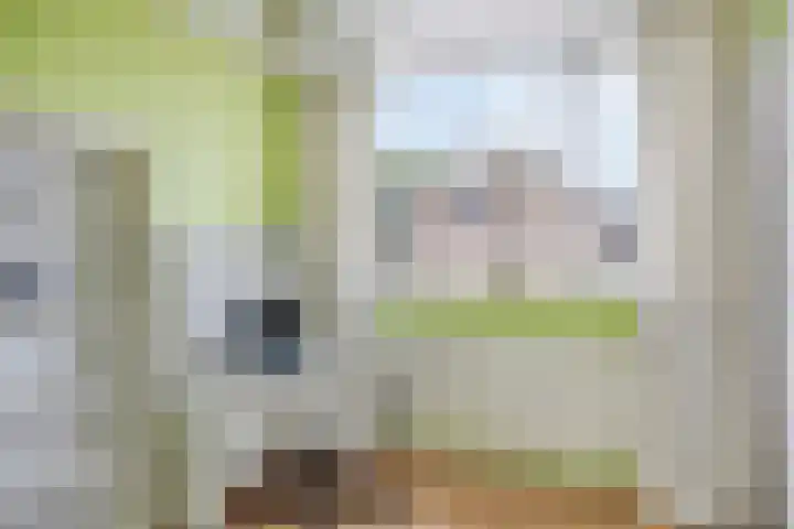 Beukelaar 38 Someren thumbnail 20