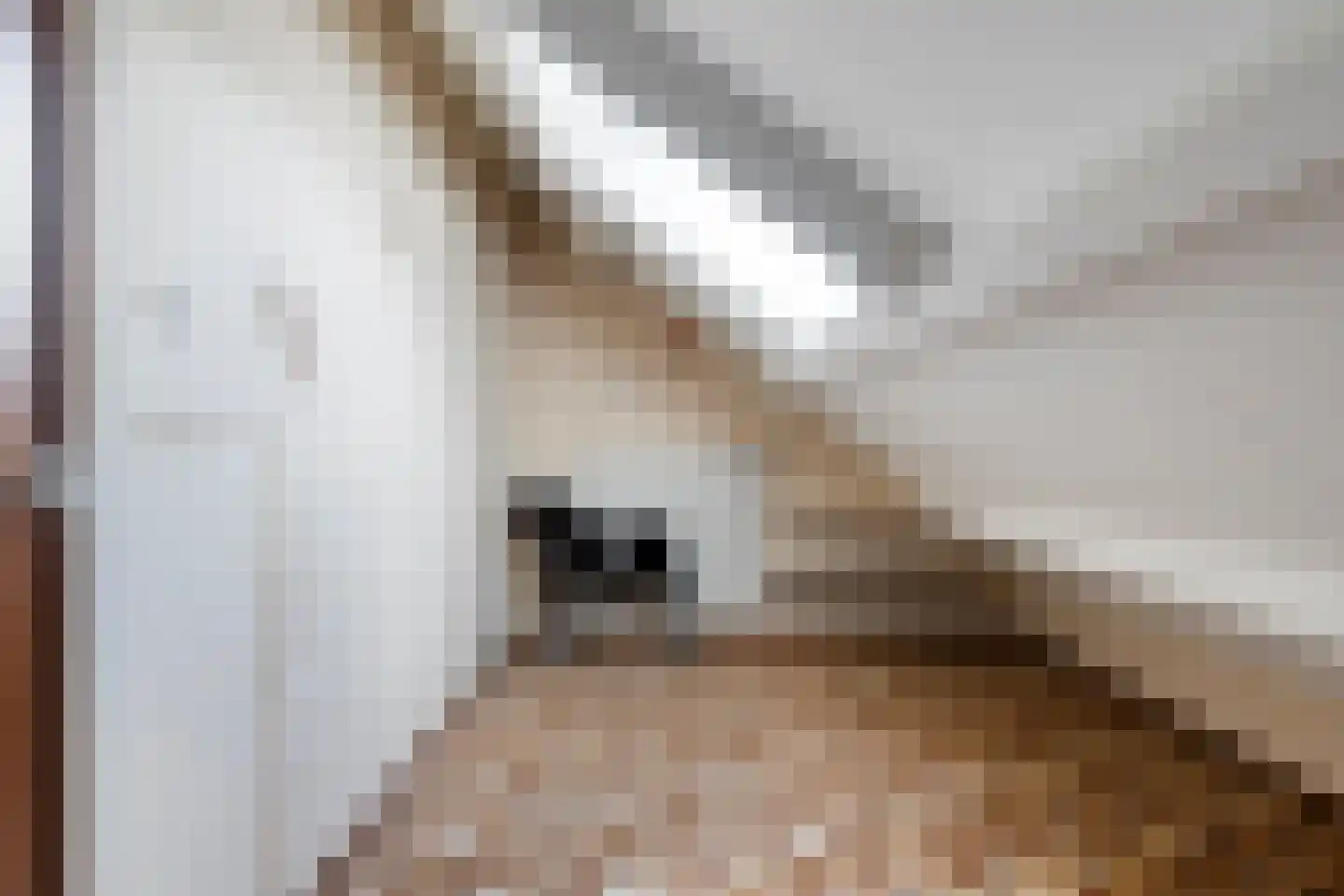 Beukelzstraat 27 Clinge thumbnail 35