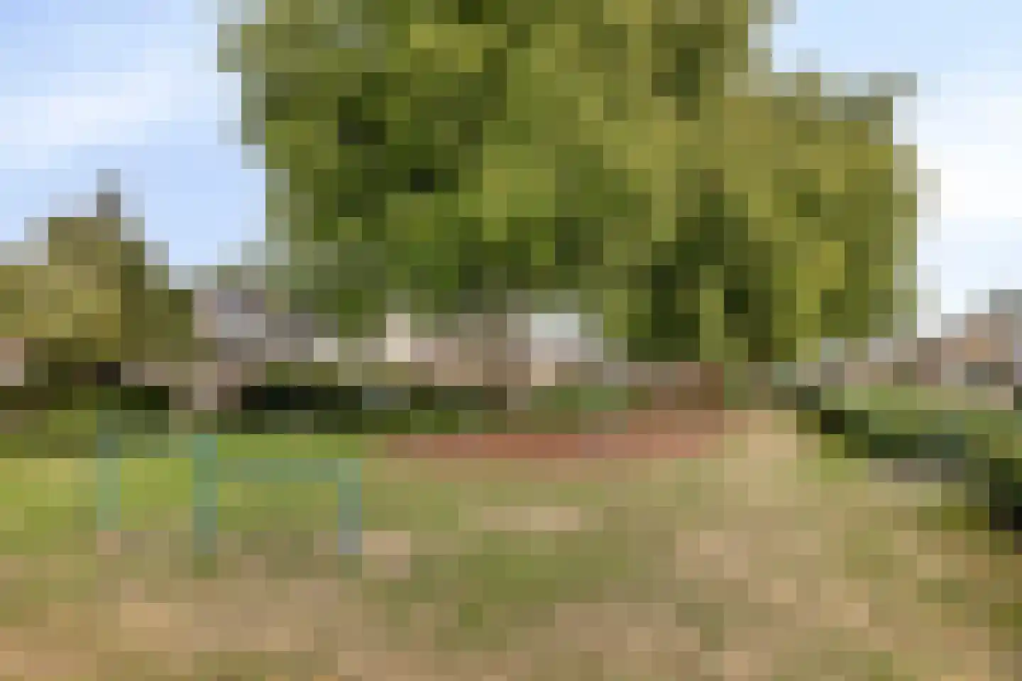 Beukelzstraat 27 Clinge thumbnail 41