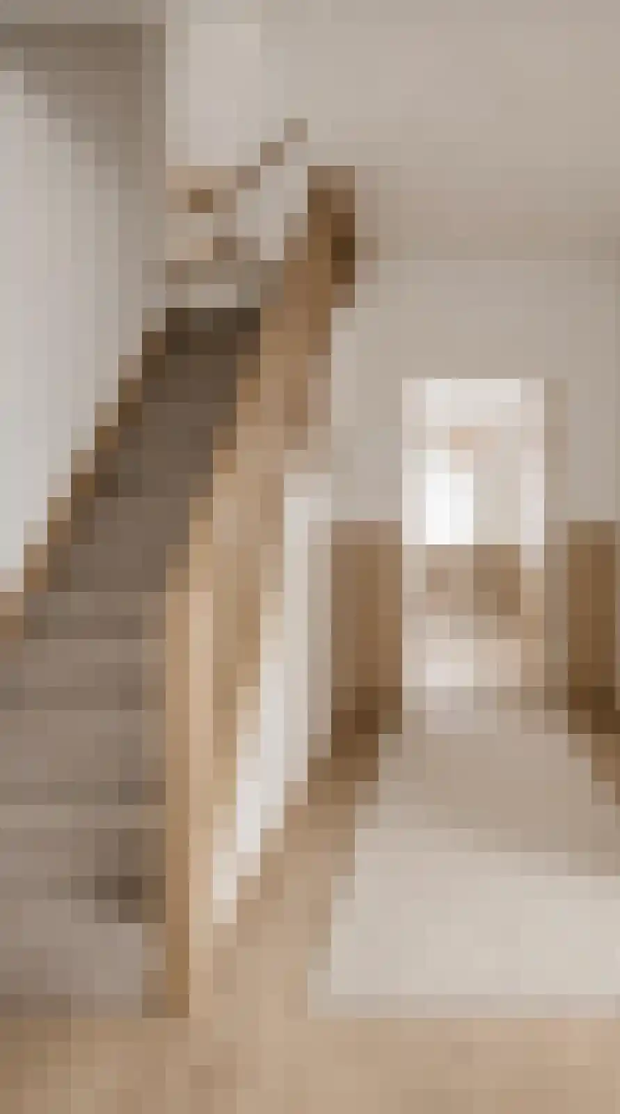 Beukelzstraat 27 Clinge thumbnail 9