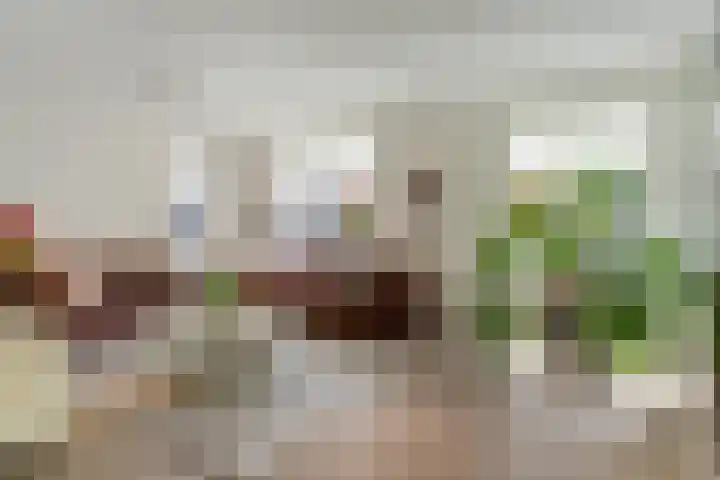 Beukenbos 75 Bladel thumbnail 10
