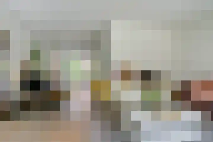 Beukenbos 75 Bladel thumbnail 14