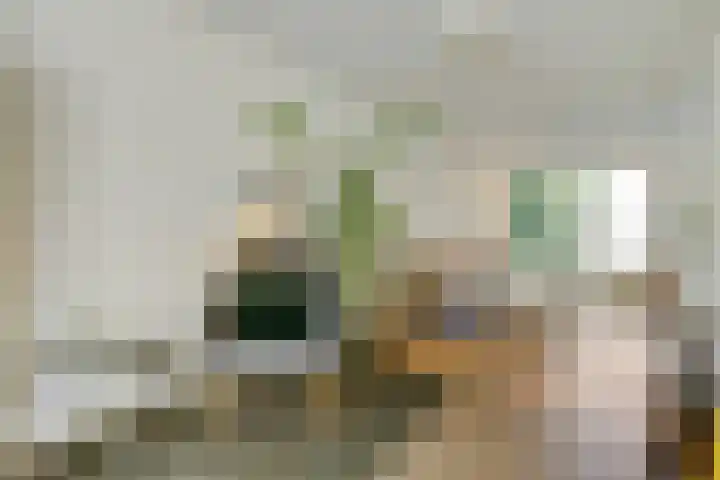 Beukenbos 75 Bladel thumbnail 17