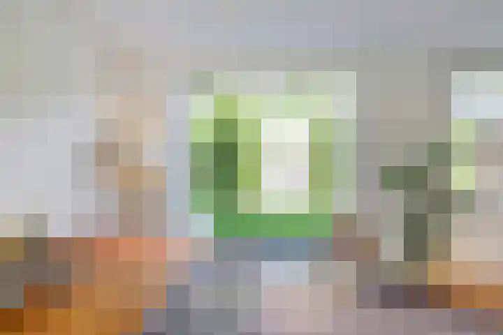 Beukenbos 75 Bladel thumbnail 18