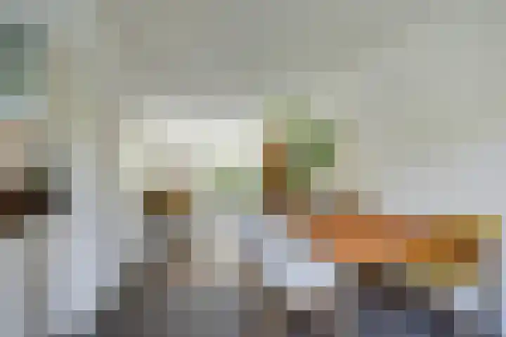 Beukenbos 75 Bladel thumbnail 20