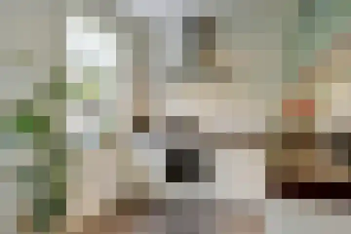 Beukenbos 75 Bladel thumbnail 22