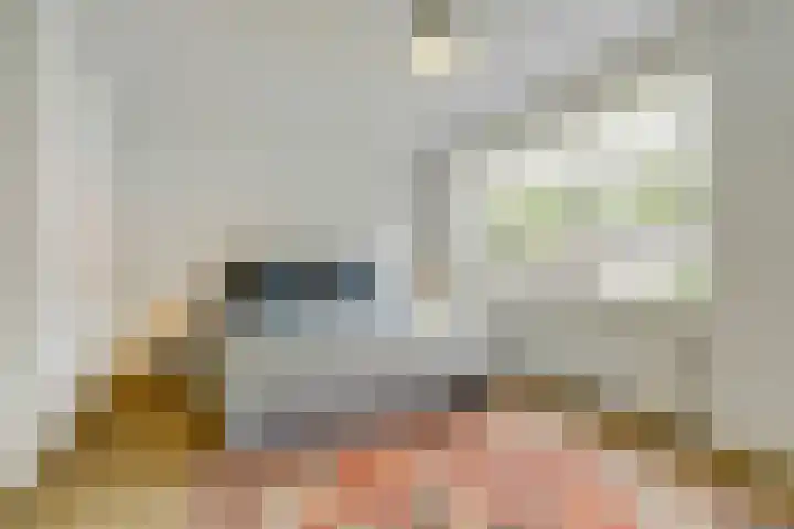Beukenbos 75 Bladel thumbnail 27
