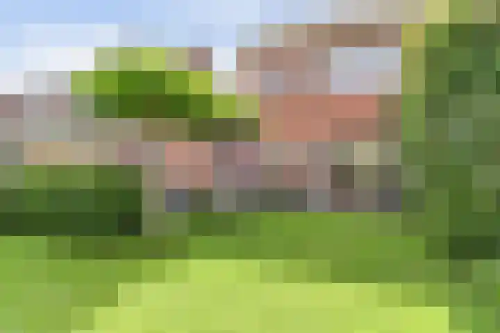 Beukenbos 75 Bladel thumbnail 42