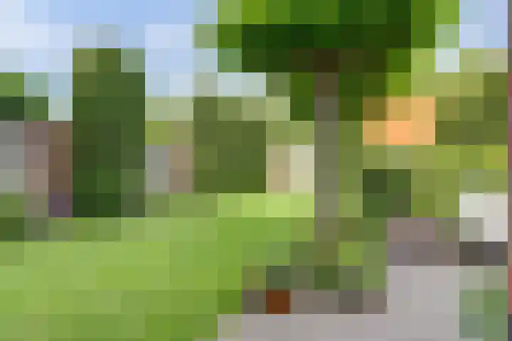 Beukenbos 75 Bladel thumbnail 45