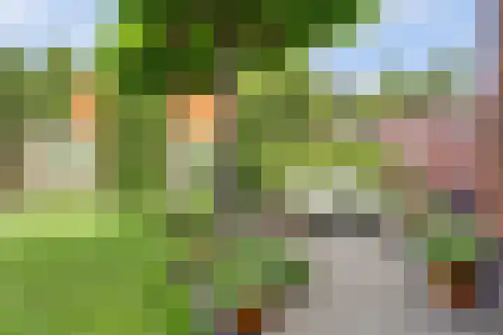 Beukenbos 75 Bladel thumbnail 46