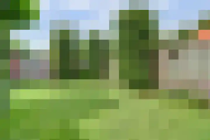 Beukenbos 75 Bladel thumbnail 48