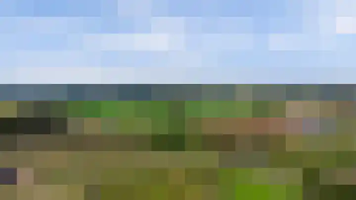 Beukenbos 75 Bladel thumbnail 49