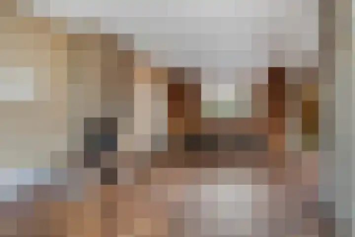 Beukendreef 11 Berkel-Enschot thumbnail 12