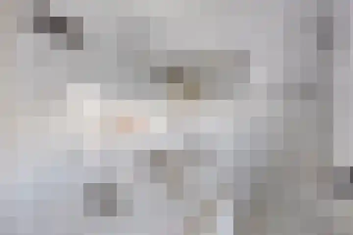 Beukendreef 11 Berkel-Enschot thumbnail 20