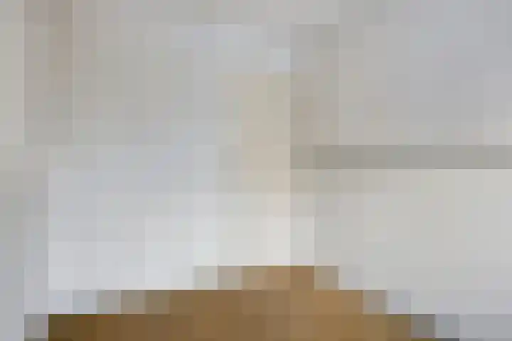 Beukendreef 11 Berkel-Enschot thumbnail 25