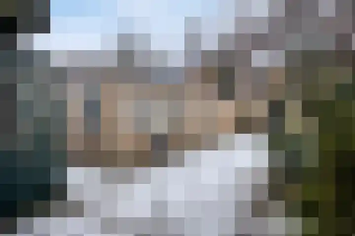 Beukendreef 11 Berkel-Enschot thumbnail 34