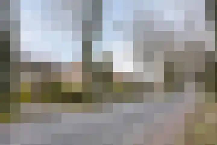 Beukendreef 11 Berkel-Enschot thumbnail 4