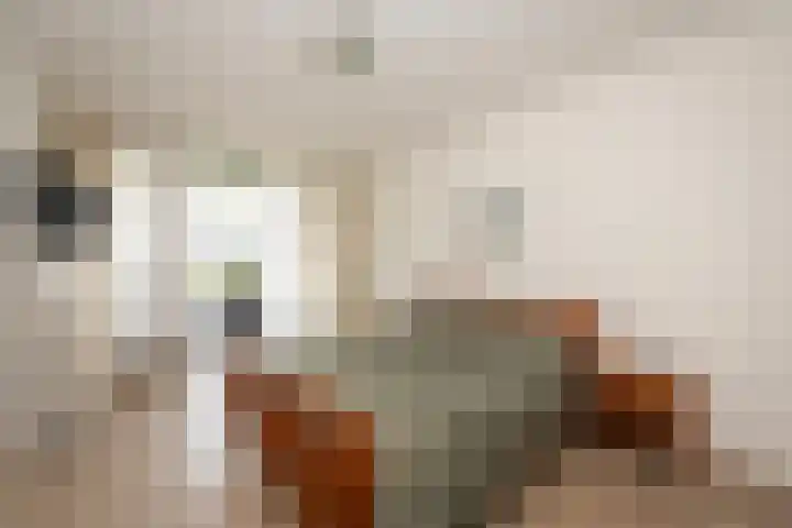 Beukendreef 39 Berkel-Enschot thumbnail 24
