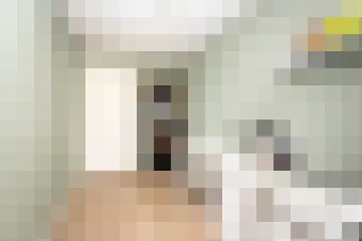 Beukendreef 39 Berkel-Enschot thumbnail 30