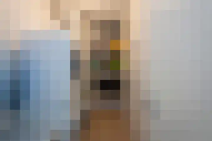 Beukendreef 39 Berkel-Enschot thumbnail 31