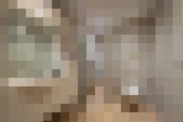 Beukendreef 39 Berkel-Enschot thumbnail 32