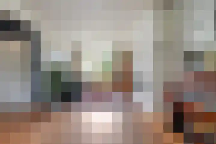 Beukendreef 50 Oisterwijk thumbnail 11