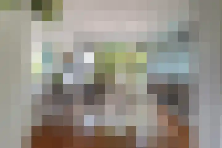 Beukendreef 50 Oisterwijk thumbnail 17