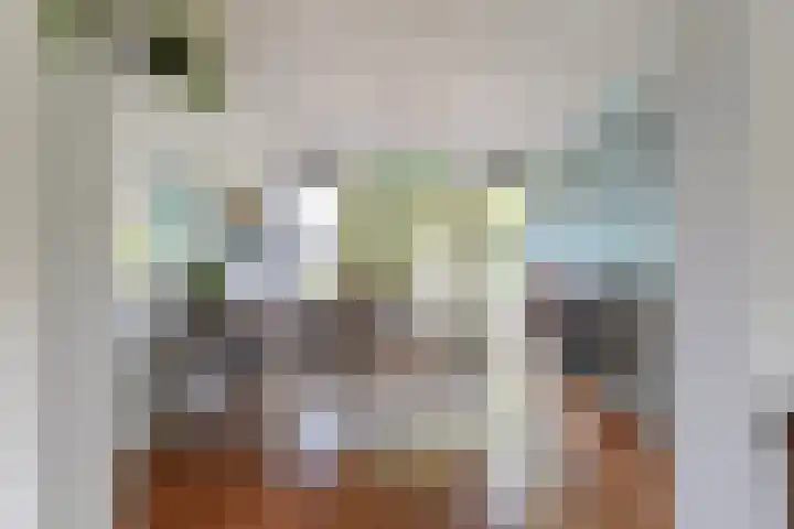 Beukendreef 50 Oisterwijk thumbnail 18